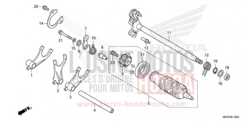 SCHALTTROMMEL (NC750XA) NC750XAM de 2021